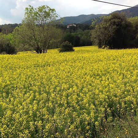 Casa Rural Can Panxa Sant Pere de Vilamajor Kültér fotó