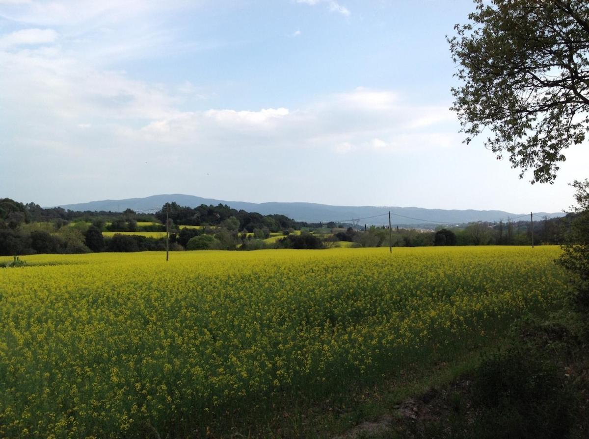 Casa Rural Can Panxa Sant Pere de Vilamajor Kültér fotó