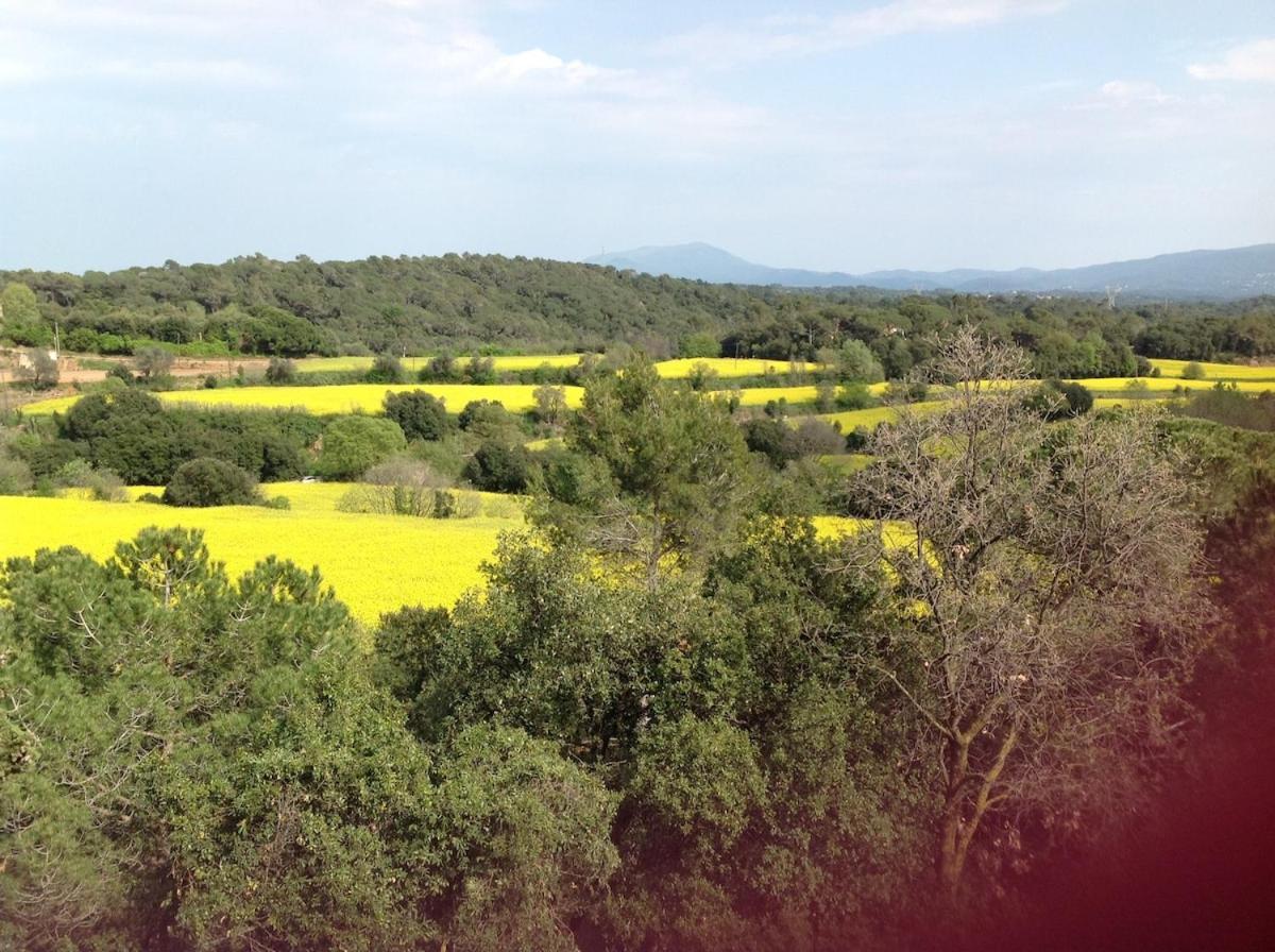 Casa Rural Can Panxa Sant Pere de Vilamajor Kültér fotó